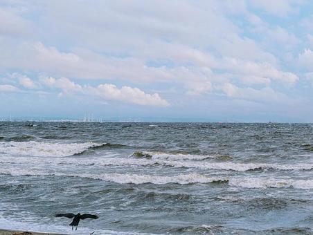 幕張の浜―波に向かって飛び立とうとする烏 幕張の浜―波に向かって飛び立とうとする烏 海,波,鳥の写真素材