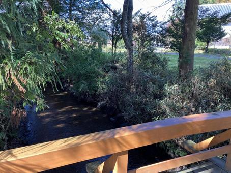 遠野のカッパ淵風景（秋） カッパ淵,カッパ,遠野の写真素材