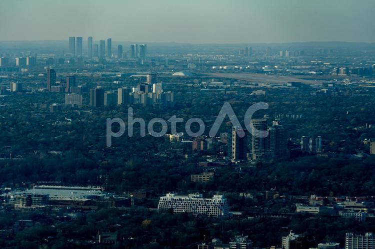 都市と森林のパノラマ風景 都市,ビル群,森林の写真素材