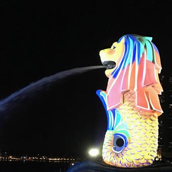 ライトアップされたマーライオン ライトアップされたマーライオンの写真