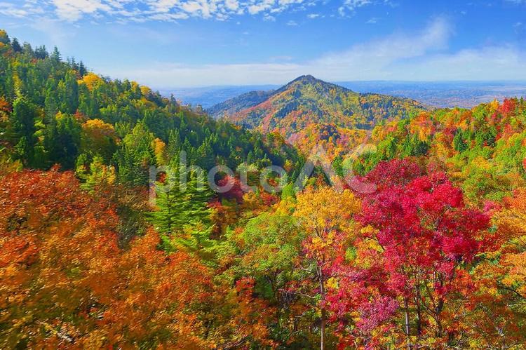 紅葉の山並みと秋の青空1 秋,紅葉,風景の写真素材