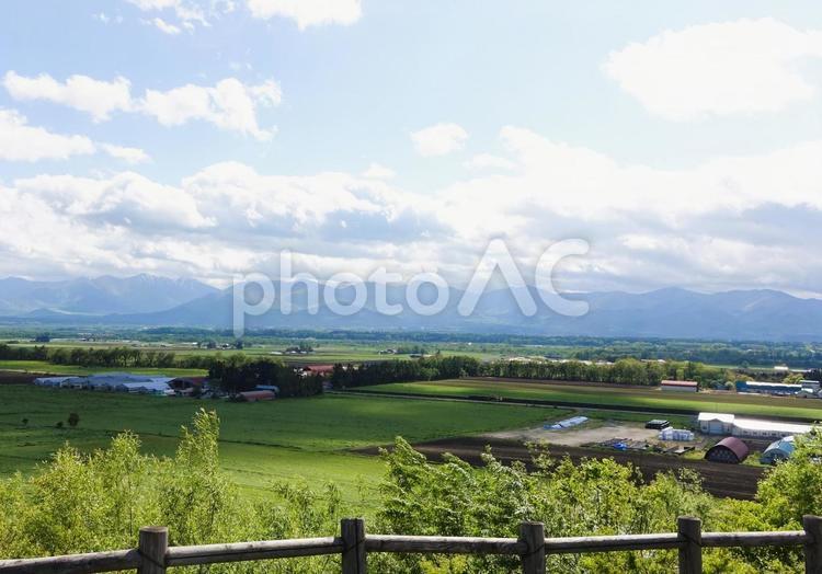 十勝  なつぞらの大地　初夏 十勝平野,風景,大自然の写真素材