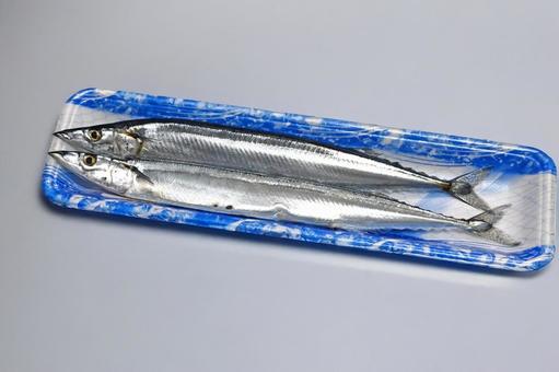 トレーに入ったさんま 秋の魚 トレーに入ったさんま 秋の魚 さんま,魚,秋刀魚の写真素材