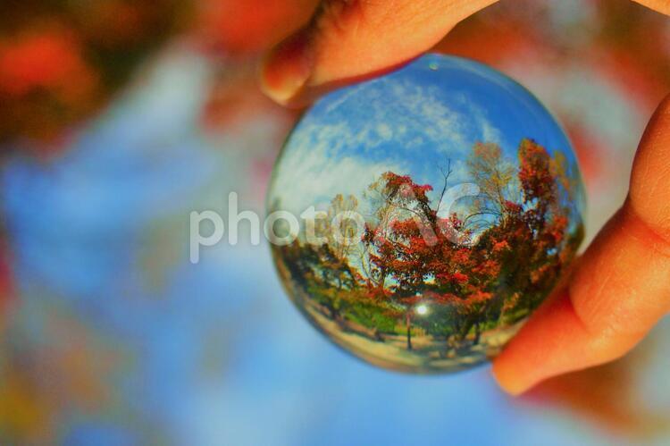 ガラスボールの中の紅葉のある風景 ガラスボール,紅葉,もみじの写真素材