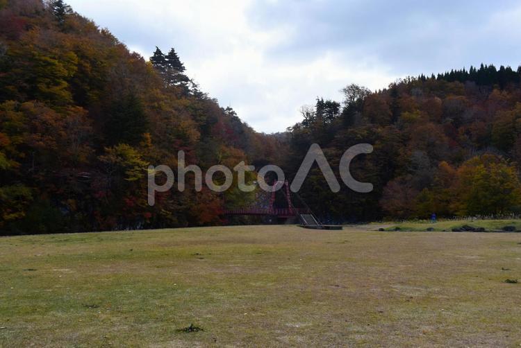 法体の滝(秋田) 敷地,草,橋の写真素材