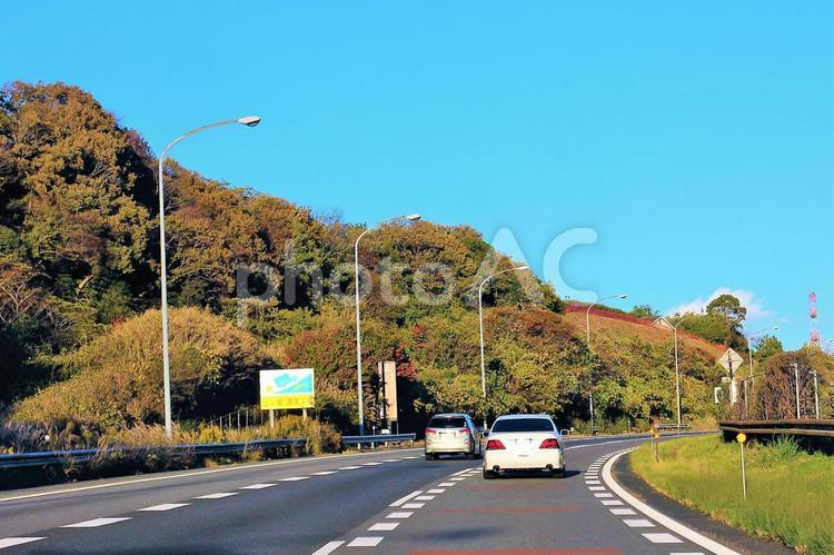 登坂車線が加わる東名高速道路の坂道は紅葉のシーズン 紅葉,美しい,きれいなの写真素材