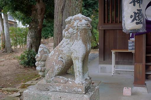 パワースポット　市杵島姫神社⑨　狛犬吽形 兵庫県宝塚市,市杵島姫神社,弁財天の写真素材