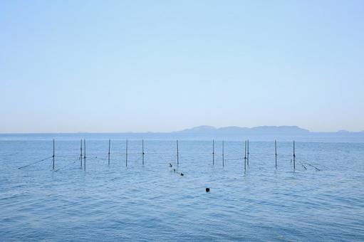 養殖網 養殖網 養殖網,養殖,魚の写真素材