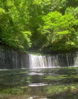 白糸の滝 白糸の滝の写真