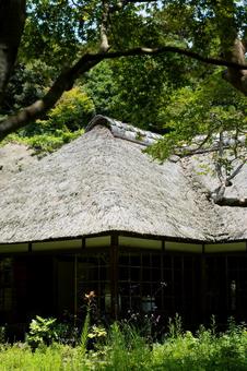 ［神奈川県鎌倉市］夏｜浄智寺 浄智寺,茅葺き屋根,古民家の写真素材