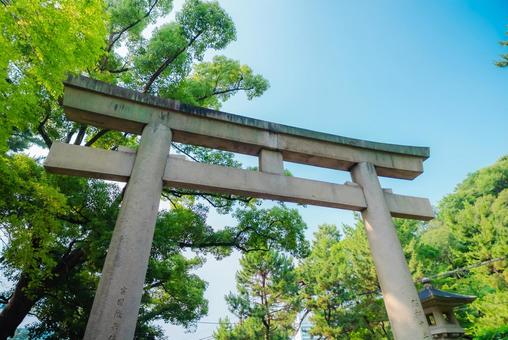 【和歌山】和歌山城近くのお寺 2025 【和歌山】和歌山城近くのお寺 2025の写真