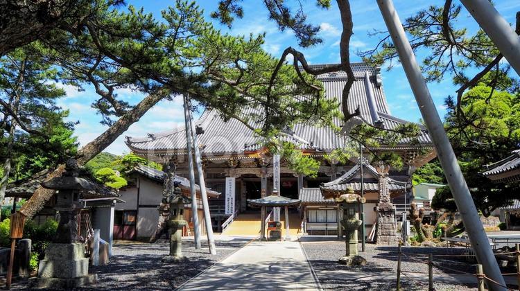夏の天津小湊＆誕生寺（千葉県・鴨川市） 夏,天津小湊,誕生寺の写真素材