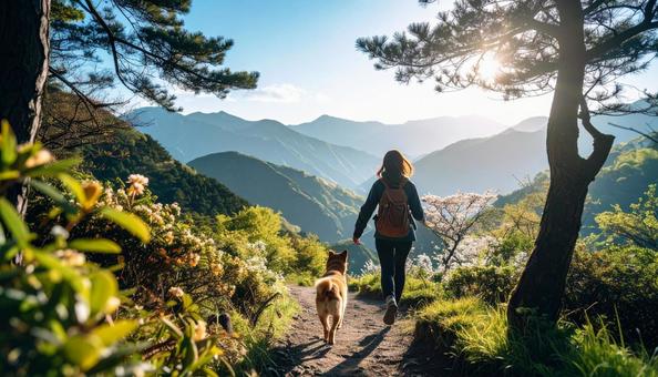 清々しい空気の森を走る犬と飼い主 清々しい空気の森を走る犬と飼い主の写真