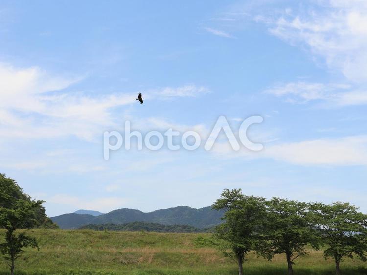 青空と緑の山や木の風景画 山,木,空の写真素材