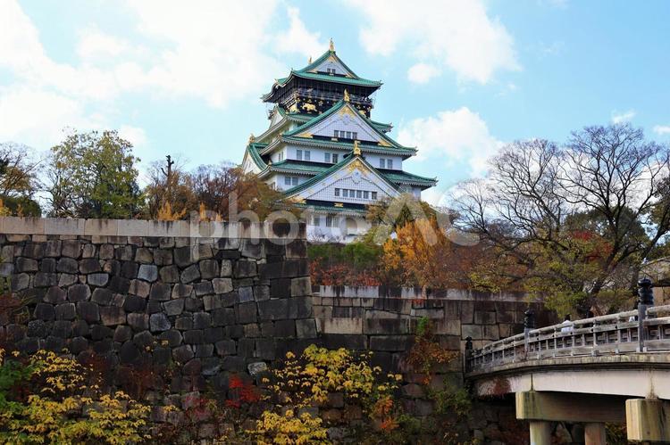 １１月下旬の大阪城と紅葉 背景,大阪城,城の写真素材
