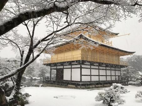冬の金閣寺 冬の金閣寺の写真