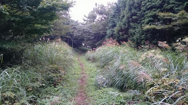 山道 山道の写真