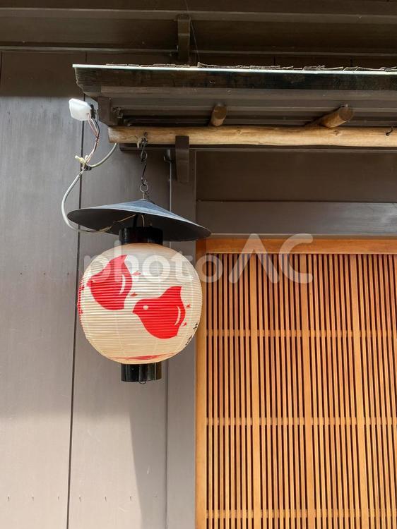 京都　祇園でよく見る提灯 京都,祇園,白川の写真素材