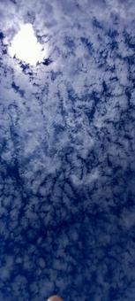 晴れた日の空 晴れた日の空の写真