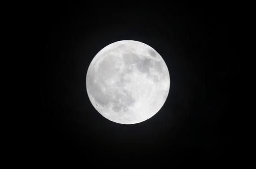 9月の満月(コーンムーン) 9月の満月(コーンムーン) 満月,コーンムーン,きれいの写真素材
