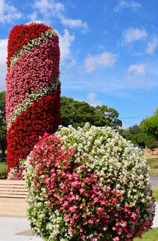 7月中旬のさぬきフラワーガーデンの花 7月中旬のさぬきフラワーガーデンの花の写真