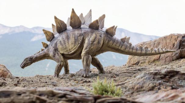 岩場のステゴサウルス4 岩場のステゴサウルス4の写真