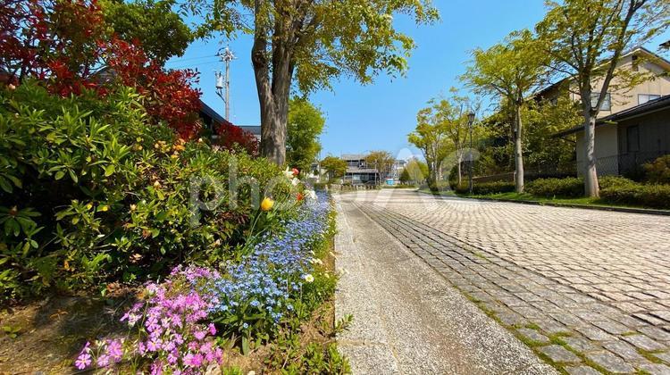 石畳の住宅街（金沢　太陽が丘） 住宅街,石畳,家の写真素材