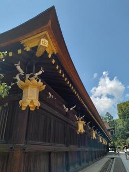 青空に映える、伽藍と吊灯籠 青空に映える、伽藍と吊灯籠 吊灯籠,灯篭,金色の写真素材