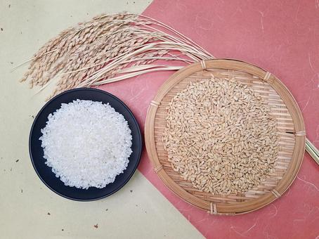 稲穂と籾と白米_和紙バック_6 秋,秋の味覚,米の写真素材