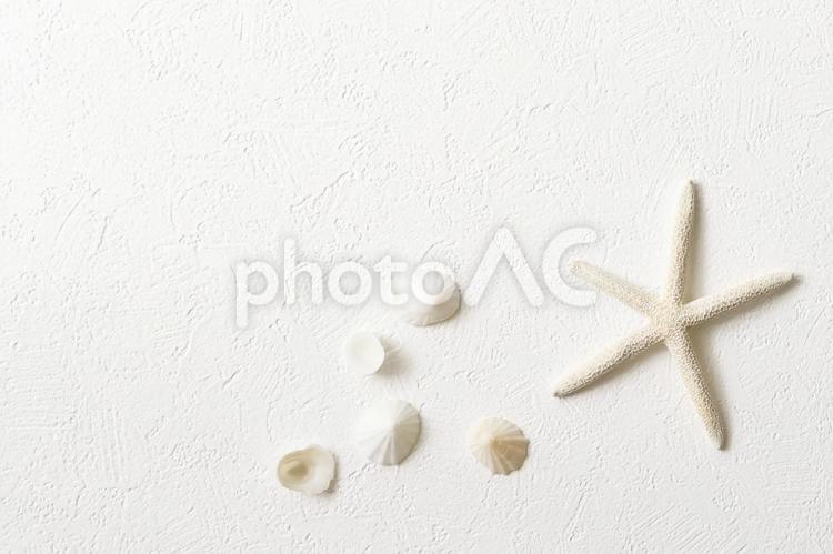 小粒の貝殻5個+ヒトデ　左上空け 貝殻,夏,ヒトデの写真素材