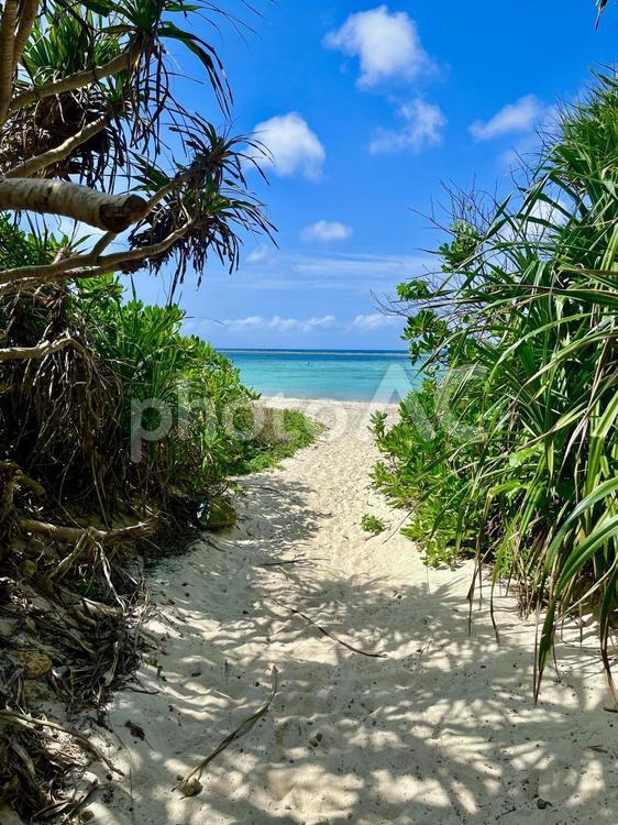 美しい海へと続く小道 海,水平線,ビーチの写真素材