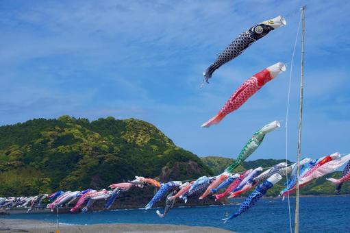 鯉のぼり 鯉のぼりの写真