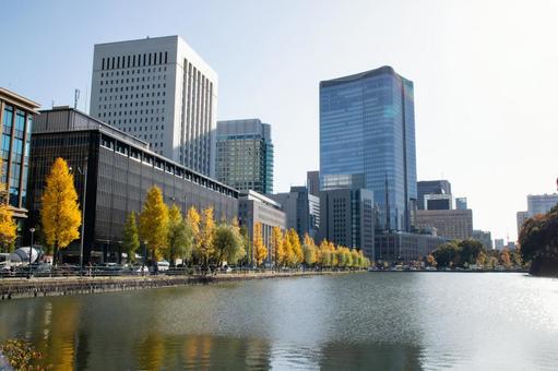 お堀と高層ビル街の秋景色 お堀と高層ビル街の秋景色 ビル,都市風景,お堀の写真素材
