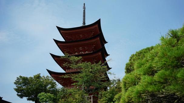 宮島の五重塔 宮島の五重塔 五重塔,宮島,寺院の写真素材