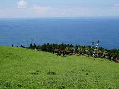 Photo, beautiful, miyazaki, the scenery, 