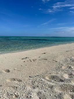 足跡残る白い砂浜と青い海 足跡残る白い砂浜と青い海の写真