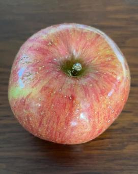 R7.11.07　りんご早生ふじの写真