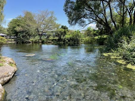 安曇野わさび田湧水群 安曇野わさび田湧水群の写真