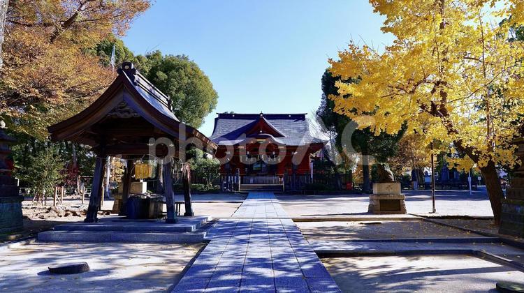 千葉県市原市の秋の飯香岡八幡宮 飯香岡八幡宮,千葉,市原の写真素材