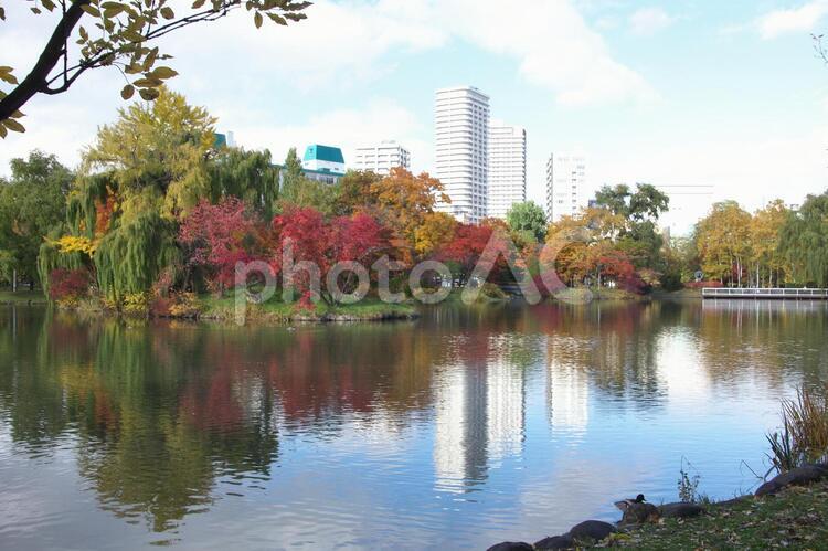 美しい紅葉の映り込み きれい,こうよう,つややかの写真素材