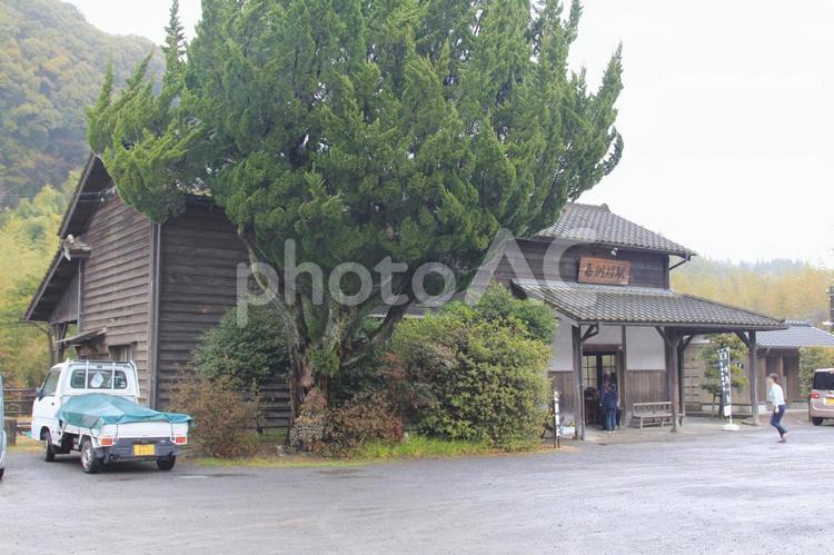 JR九州肥薩線の嘉例川駅 嘉例川駅,jr嘉例川駅,jr九州の写真素材