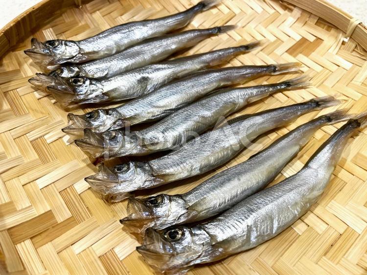 子持ちししゃも（生）１ ししゃも,子持ちししゃも,からふとししゃもの写真素材