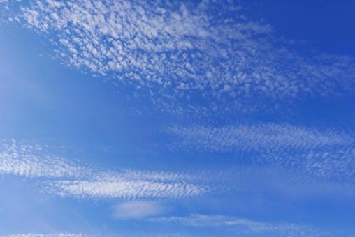 秋の空　うろこ雲の写真