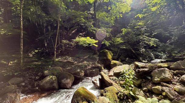 Photo, the scenery, kinugawa, waterfall, 