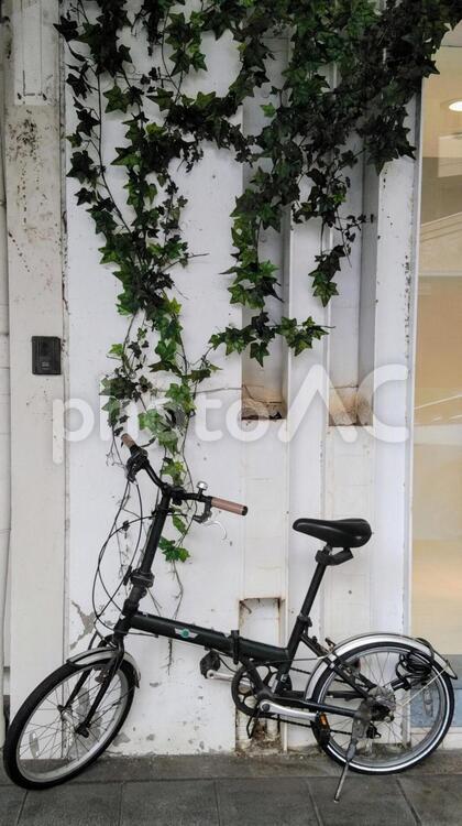 塀の蔦と自転車 塀の蔦と自転車,塀のツタと自転車,塀のつたと自転車の写真素材
