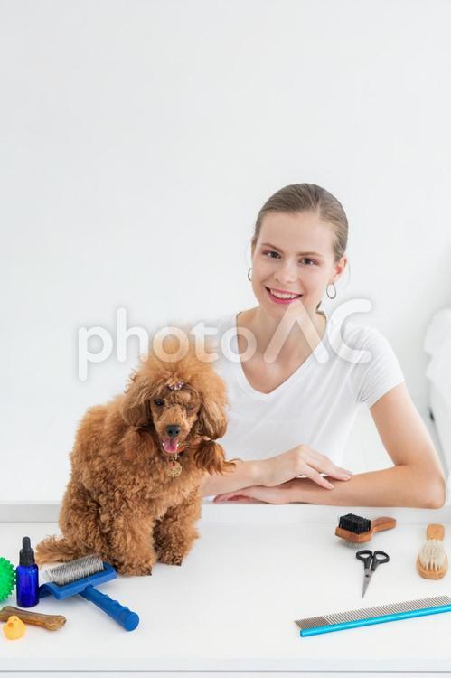モフモフした茶色の犬とカメラ目線の女性 女性,犬,茶色の写真素材