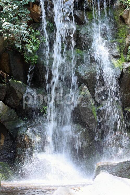 涼しげな滝のイメージ背景　縦位置 背景,自然環境,滝の写真素材