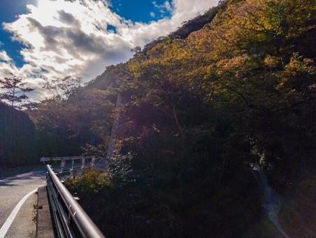 抛雪の滝と国道と 秋,抛雪の滝,紅葉の写真素材