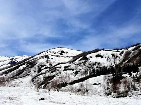 雪山 雪山の写真