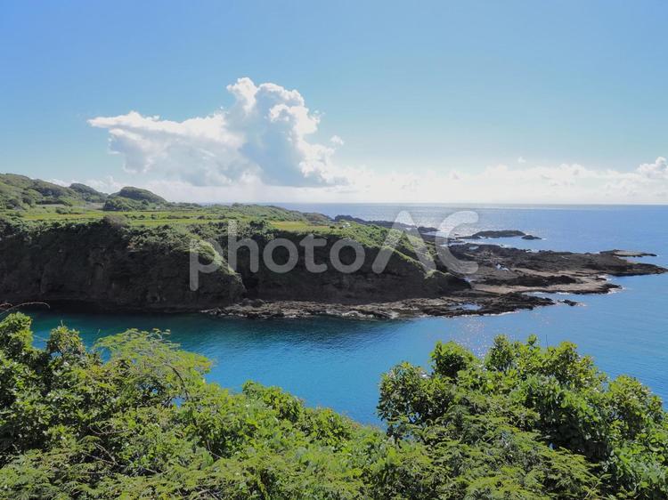 尖閣湾揚島遊園 佐渡島,新潟県,海の写真素材